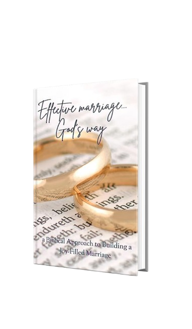 GbEFwf-removebg-preview